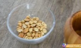 仙人球吃瓜娱乐,瓜果乐园的奇幻之旅