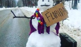 娱乐吃瓜酱堆雪人,揭秘娱乐圈背后的甜蜜与苦涩