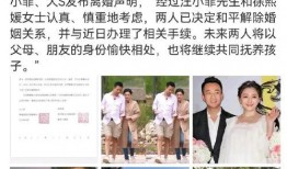 今日娱乐圈吃瓜总结,揭秘今日热点事件大揭秘