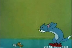 吃娱乐瓜tom猫的微博,Tom猫微博揭秘娱乐圈幕后故事