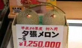 娱乐圈吃瓜必备工具,吃瓜必备工具，轻松掌握明星动态