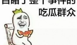 聊娱乐的吃瓜群众能力,吃瓜群众如何成为幕后推手