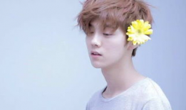 娱乐吃瓜社肖战,娱乐吃瓜社的焦点人物