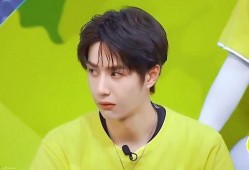 娱乐圈吃瓜爆料王一博,娱乐圈风云再起，揭秘他的神秘生活