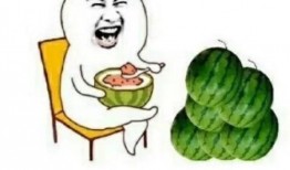 吃瓜娱乐圈图片大全