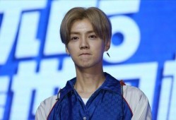 吃瓜娱乐圈鹿晗是谁,娱乐圈的瓜中明星