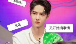 娱乐圈吃瓜爆料王一博,娱乐圈风云再起，揭秘他的神秘生活