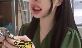 娱乐吃瓜酱网友到底能多有才,才华横溢的“瓜界”传奇