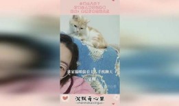 娱乐猫吃瓜记,揭秘娱乐圈幕后风云