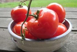 娱乐吃瓜蜀黍番茄娱乐