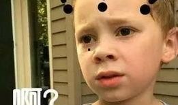 娱乐吃瓜酱学渣,揭秘娱乐圈背后的学渣生活