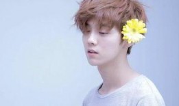 娱乐吃瓜社肖战,娱乐吃瓜社的焦点人物