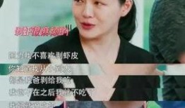 娱乐圈吃瓜鹅天才基本法,天才基本法背后的吃瓜鹅传奇