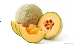 娱乐吃瓜有趣名字大全