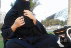 娱乐吃瓜君周也,揭秘娱乐圈幕后故事